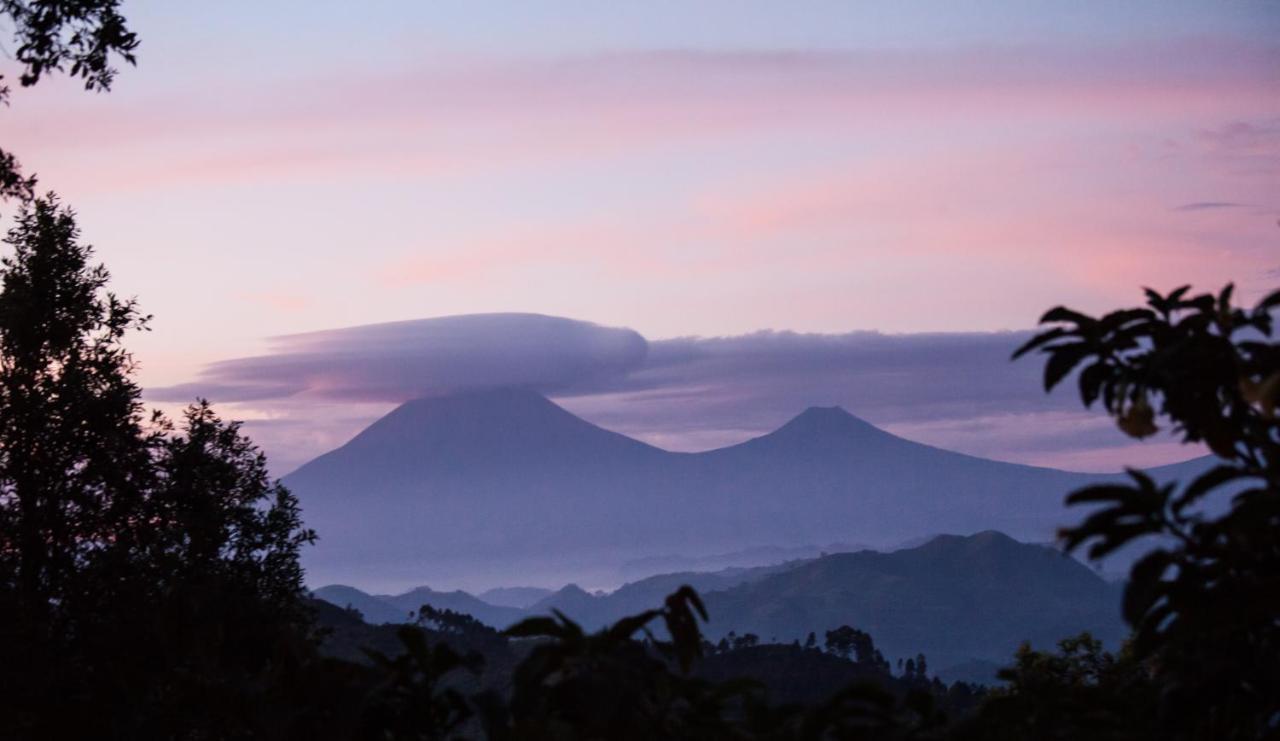 Kisoro Clouds Mountain Gorilla Lodge المظهر الخارجي الصورة