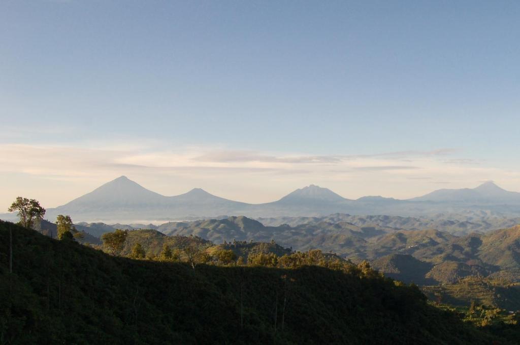 Kisoro Clouds Mountain Gorilla Lodge المظهر الخارجي الصورة